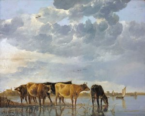 Bydło w wodzie autorstwa Aelbert Cuyp