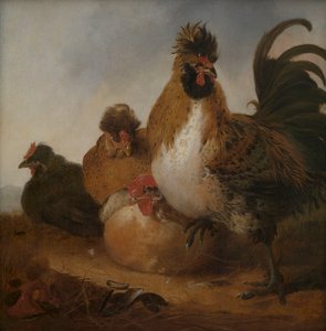 Kogut i kury autorstwa Aelbert Cuyp