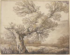 Krajobraz w pobliżu Dordrechtu autorstwa Aelbert Cuyp