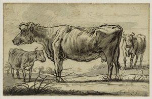 Trzy krowy na pastwisku (Lugt 16) autorstwa Aelbert Cuyp