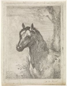 głowa konia autorstwa Aert Schouman (signed by artist)