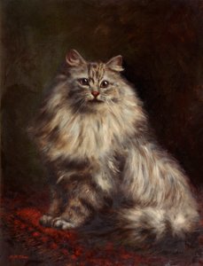 Kot perski, ok. 1908-20 autorstwa Agnes Augusta Talboys
