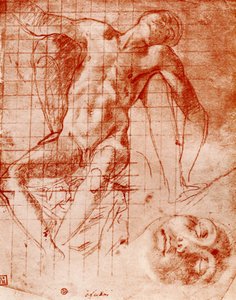 Studia, 1913. autorstwa Agnolo Bronzino