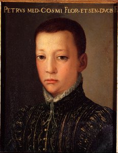 Portret Don Pietro de Medicis (1554-1604) (Pietro de 