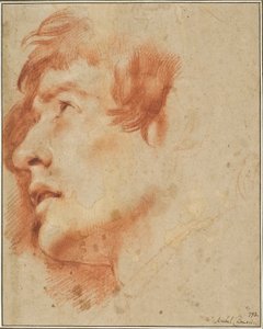 Głowa młodego mężczyzny spoglądającego w górę autorstwa Agostino Carracci