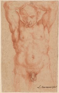 Mężczyzna nago autorstwa Agostino Carracci