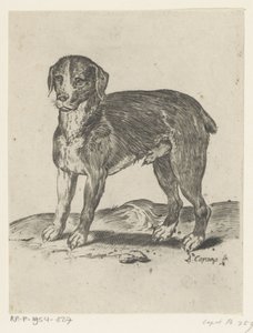 stojący pies autorstwa Agostino Carracci