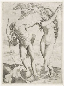 Apollo w Daphne autorstwa Agostino Veneziano