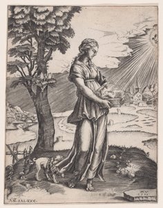 Sybilla Kumejska, datowana na 1516 rok. autorstwa Agostino Veneziano