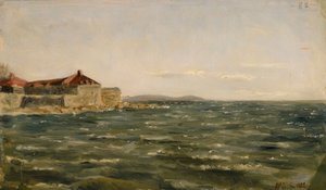 Piaszczysta łacha autorstwa Akseli Gallen-Kallela