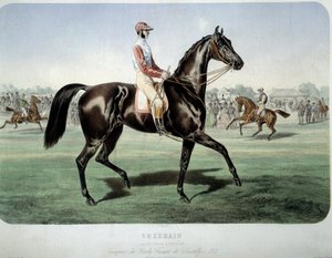 Wyścigi: „” Suzerain, zwycięzca derbów Chantilly w 1868”” Litografia Alberta Adama (1833-?) Kolekcja prywatna