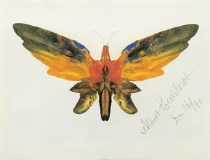 Motyl, 1890 autorstwa Albert Bierstadt