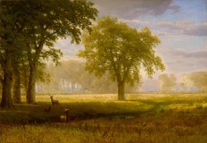 Łoś w Oak Grove (Tuolumne Meadows) autorstwa Albert Bierstadt
