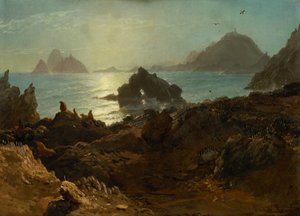 Wyspy Farallon, Ocean Spokojny, Kalifornia autorstwa Albert Bierstadt