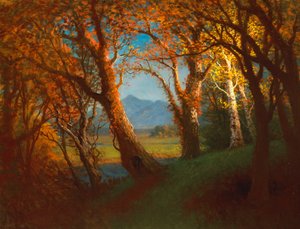 Zachód słońca na terytorium Nebraski autorstwa Albert Bierstadt