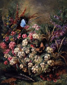  autorstwa Albert Durer Lucas