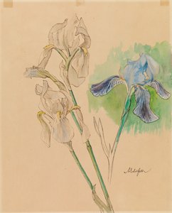 Irysy autorstwa Albert Edelfelt