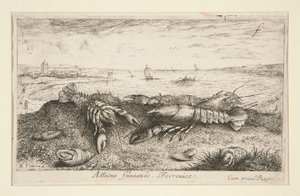 Astacus fluriatilis. L autorstwa Albert Flamen