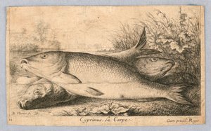 Karp autorstwa Albert Flamen