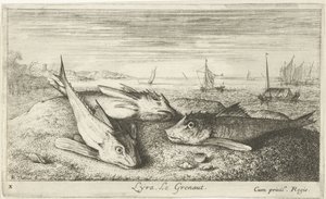 Trzy ryby morskie na plaży Łyta, Le Grenaut. (tytuł na obiekcie) Ryby i inne morskie stworzenia - pierwsza seria słonowodnych (tytuł serii) Diverse Especes de Poissons de mer (tytuł serii)