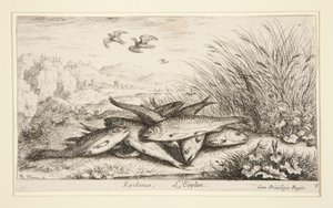 Epelanus, L autorstwa Albert Flamen