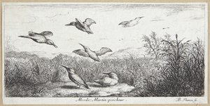 Zimorodek (Alcedo) autorstwa Albert Flamen