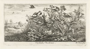 Krajobraz ze szczygłami w ostu Carduelis; Chardonnereta. (tytuł na obiekcie) Księga ptaków (tytuł serii) Livre d