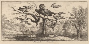 Monedula, Sowa autorstwa Albert Flamen
