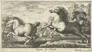 Konie Equus le Cheval (tytuł na obiekcie) Różne gatunki zwierząt (tytuł serii) autorstwa Albert Flamen