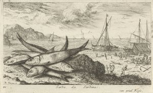 Sardynki na plaży? Sarda, La Sardynka. (tytuł na obiekcie) Ryby i inne morskie stworzenia - pierwsza seria słonowodnych (tytuł serii) Diverse Especes de Poissons de mer (tytuł serii) autorstwa Albert Flamen