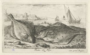 Dwie płastugi na plaży? psetta. La Plye. (tytuł na obiekcie) Ryby i inne morskie stworzenia - druga seria słonowodnych (tytuł serii) Poissons de mer (tytuł serii) autorstwa Albert Flamen