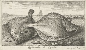 Dwie gładzice na plaży? Kwadratus. LeQuarlet. (tytuł na obiekcie) Ryby i inne morskie stworzenia - trzecia seria słonowodnych (tytuł serii) Poissons de mer (tytuł serii) autorstwa Albert Flamen