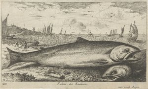 Dwa łososie na plaży? Salmo. Le Saumon (tytuł na obiekcie) Ryby i inne morskie stworzenia - pierwsza seria słonowodnych (tytuł serii) Diverse Especes de Poissons de mer (tytuł serii) autorstwa Albert Flamen