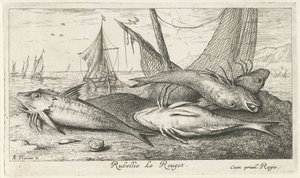 Cztery czerwone barweny na plaży Rubellio Le Rouget. (tytuł na obiekcie) Ryby i inne morskie stworzenia - druga seria słonowodnych (tytuł serii) Poissons de mer (tytuł serii) autorstwa Albert Flamen