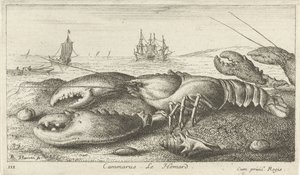 Homar na plaży? Cammarusa. LeHomard (tytuł na obiekcie) Ryby i inne morskie stworzenia - pierwsza seria słonowodnych (tytuł serii) Diverse Especes de Poissons de mer (tytuł serii) autorstwa Albert Flamen