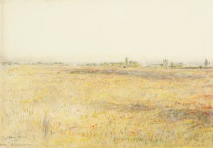 Pola kukurydzy, Hooe. Bexhill nad morzem (akwarela z tuszem) autorstwa Albert Goodwin
