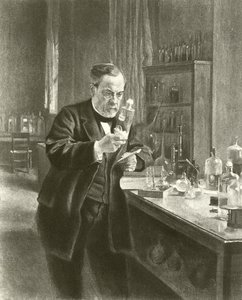 Dr Louis Pasteur w swoim laboratorium (wklęsłodruk) autorstwa Albert Gustaf Aristides Edelfelt