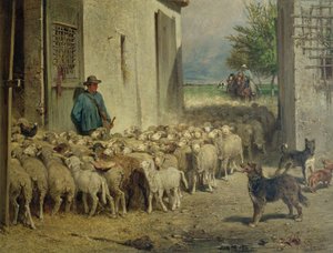 Powrót do owczarni, 1860
