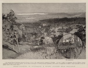 Hodowla owiec w Australii, stacja modelowa w pobliżu Ballarat