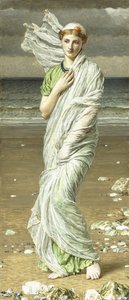 Muszle, 1875