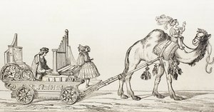 Organista Paul Hoffaner bawiący się w powozie ciągniętego przez wielbłąda, ok. 1880 (rycina)