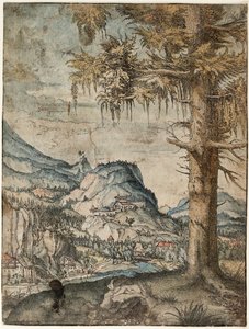 Niemiecki: Duży świerk Duży świerk autorstwa Albrecht Altdorfer