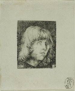 Głowa młodego mężczyzny autorstwa Albrecht Altdorfer