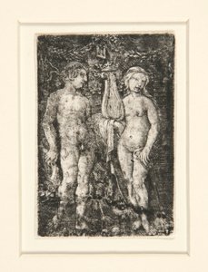 Herkules i muza autorstwa Albrecht Altdorfer