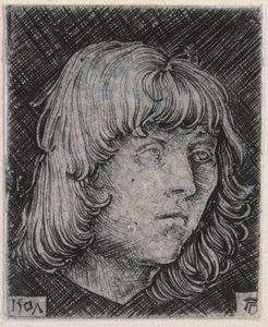 Głowa młodego mężczyzny autorstwa Albrecht Altdorfer