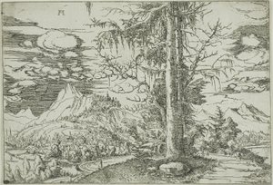 Pejzaż z podwójnym świerkiem autorstwa Albrecht Altdorfer