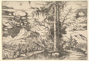 Pejzaż z Podwójnym Świerkiem, ca. 1521-22. autorstwa Albrecht Altdorfer