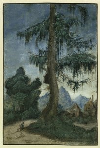 Krajobraz ze świerkiem, ok. 1522 r. autorstwa Albrecht Altdorfer