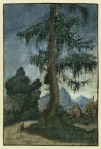 Krajobraz ze świerkiem autorstwa Albrecht Altdorfer