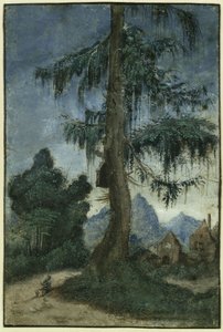 Krajobraz ze świerkiem autorstwa Albrecht Altdorfer